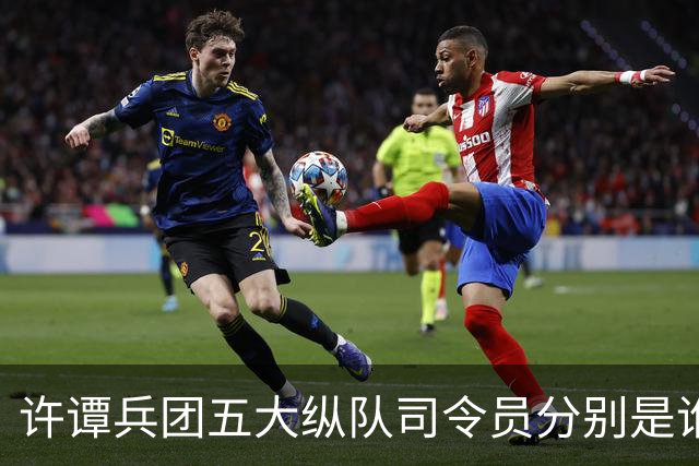 许谭兵团五大纵队司令员分别是谁？他们的军衔又是什么情况？