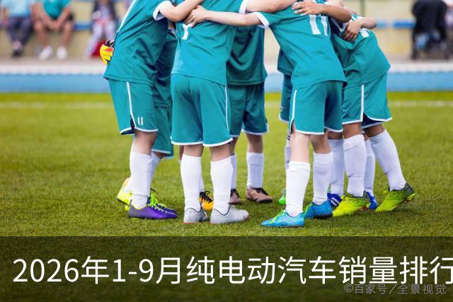 2026年1-9月纯电动汽车销量排行榜